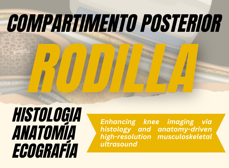 rodilla-compartimento-posterior-y-ecografia